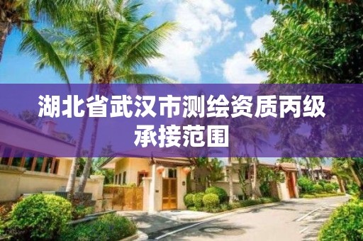 湖北省武汉市测绘资质丙级承接范围