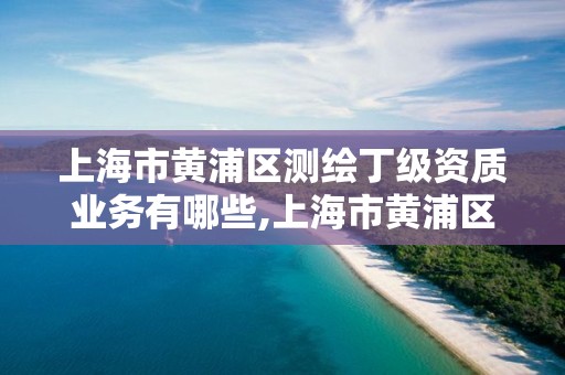 上海市黄浦区测绘丁级资质业务有哪些,上海市黄浦区测绘丁级资质业务有哪些单位