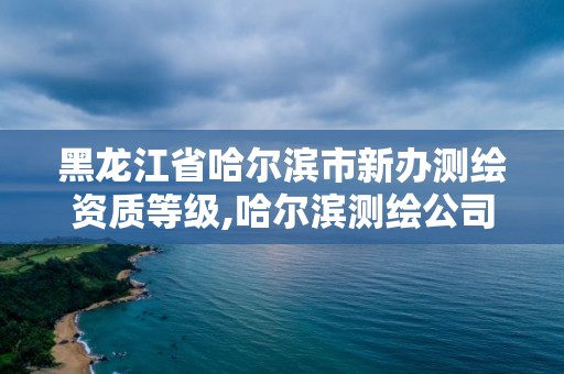 黑龙江省哈尔滨市新办测绘资质等级,哈尔滨测绘公司哪家好