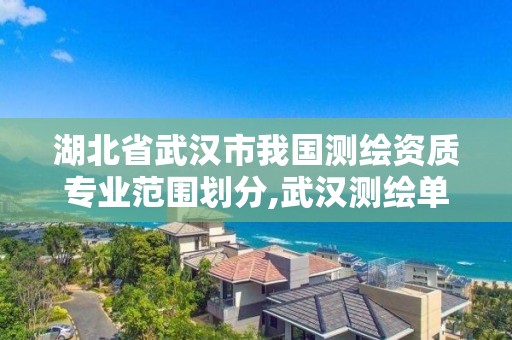 湖北省武汉市我国测绘资质专业范围划分,武汉测绘单位