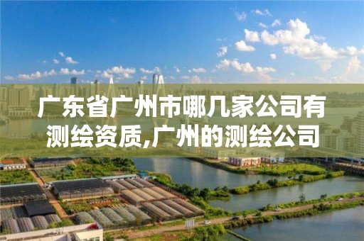 广东省广州市哪几家公司有测绘资质,广州的测绘公司有哪些。