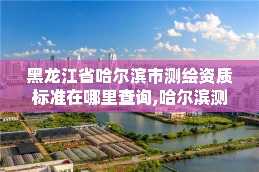 黑龙江省哈尔滨市测绘资质标准在哪里查询,哈尔滨测绘公司哪家好