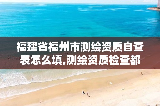 福建省福州市测绘资质自查表怎么填,测绘资质检查都检查啥