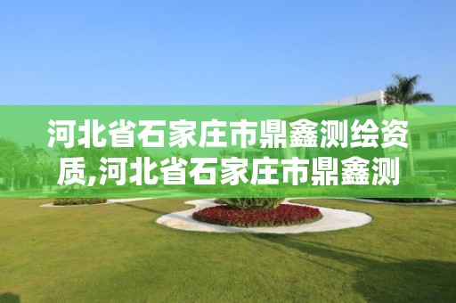 河北省石家庄市鼎鑫测绘资质,河北省石家庄市鼎鑫测绘资质公司电话