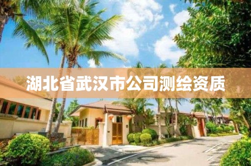 湖北省武汉市公司测绘资质