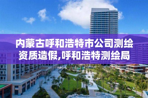 内蒙古呼和浩特市公司测绘资质造假,呼和浩特测绘局属于什么单位管理