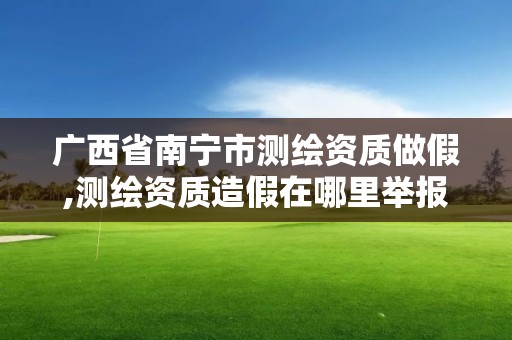 广西省南宁市测绘资质做假,测绘资质造假在哪里举报