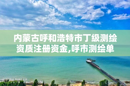 内蒙古呼和浩特市丁级测绘资质注册资金,呼市测绘单位