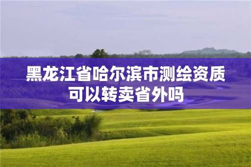 黑龙江省哈尔滨市测绘资质可以转卖省外吗