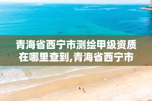 青海省西宁市测绘甲级资质在哪里查到,青海省西宁市测绘甲级资质在哪里查到信息