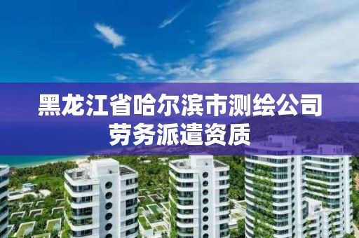 黑龙江省哈尔滨市测绘公司劳务派遣资质