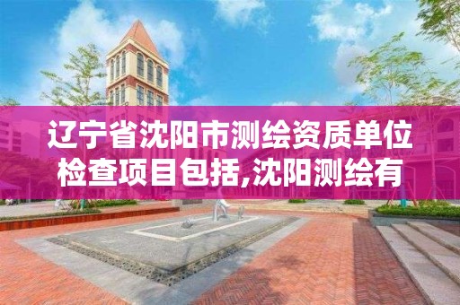 辽宁省沈阳市测绘资质单位检查项目包括,沈阳测绘有限公司