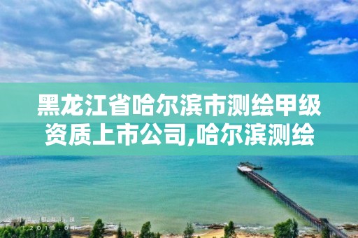 黑龙江省哈尔滨市测绘甲级资质上市公司,哈尔滨测绘局怎么样。