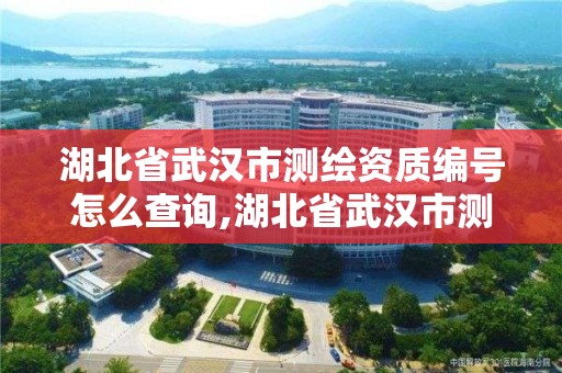 湖北省武汉市测绘资质编号怎么查询,湖北省武汉市测绘资质编号怎么查询的