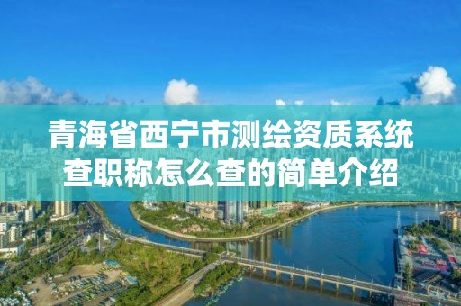 青海省西宁市测绘资质系统查职称怎么查的简单介绍