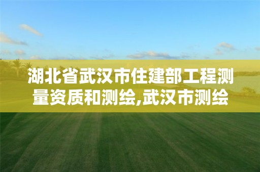 湖北省武汉市住建部工程测量资质和测绘,武汉市测绘工程技术规定。