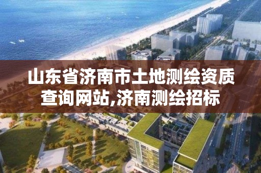 山东省济南市土地测绘资质查询网站,济南测绘招标