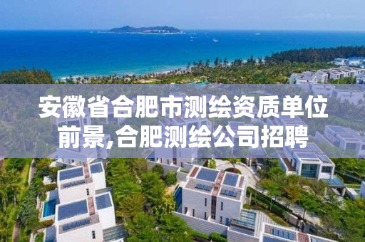 安徽省合肥市测绘资质单位前景,合肥测绘公司招聘