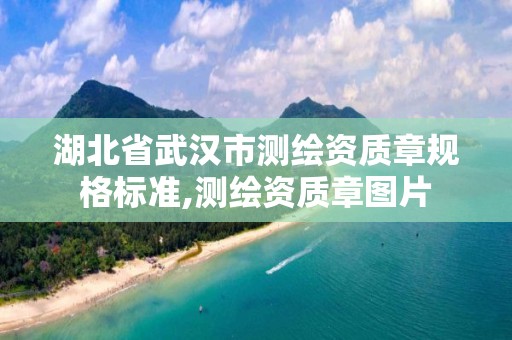 湖北省武汉市测绘资质章规格标准,测绘资质章图片