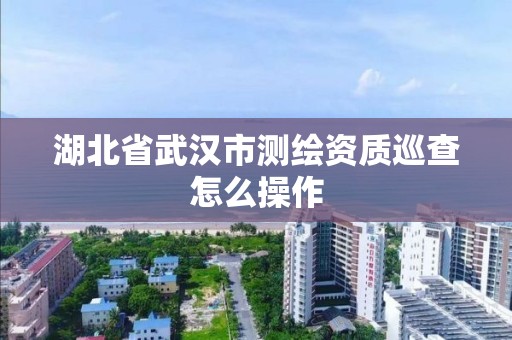 湖北省武汉市测绘资质巡查怎么操作