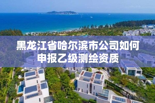 黑龙江省哈尔滨市公司如何申报乙级测绘资质