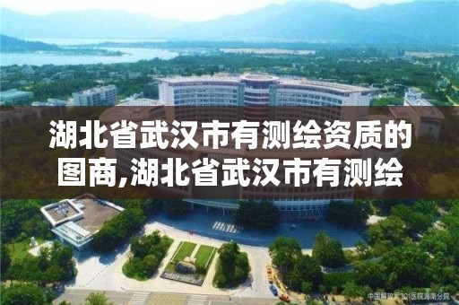 湖北省武汉市有测绘资质的图商,湖北省武汉市有测绘资质的图商有哪些