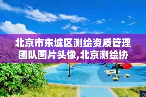 北京市东城区测绘资质管理团队图片头像,北京测绘协会电话