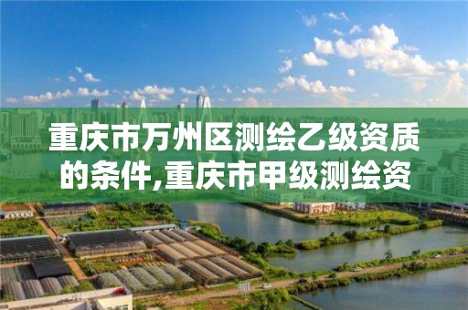 重庆市万州区测绘乙级资质的条件,重庆市甲级测绘资质单位