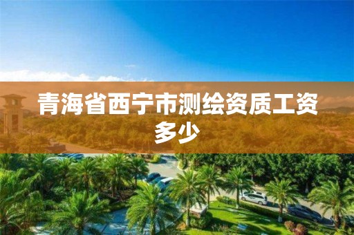 青海省西宁市测绘资质工资多少