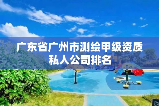 广东省广州市测绘甲级资质私人公司排名