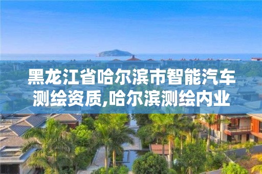 黑龙江省哈尔滨市智能汽车测绘资质,哈尔滨测绘内业招聘信息