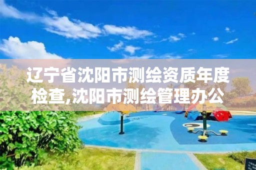 辽宁省沈阳市测绘资质年度检查,沈阳市测绘管理办公室