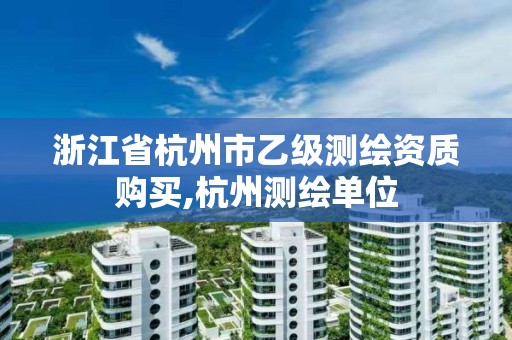 浙江省杭州市乙级测绘资质购买,杭州测绘单位