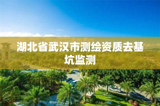 湖北省武汉市测绘资质去基坑监测