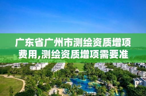 广东省广州市测绘资质增项费用,测绘资质增项需要准备的材料