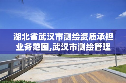 湖北省武汉市测绘资质承担业务范围,武汉市测绘管理条例