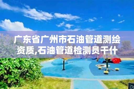 广东省广州市石油管道测绘资质,石油管道检测员干什么的