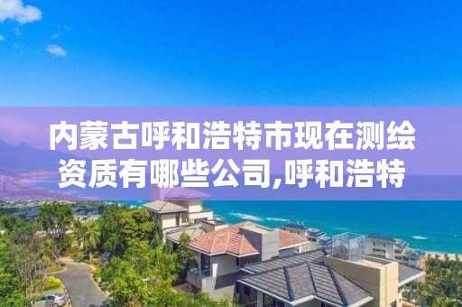 内蒙古呼和浩特市现在测绘资质有哪些公司,呼和浩特测绘招聘