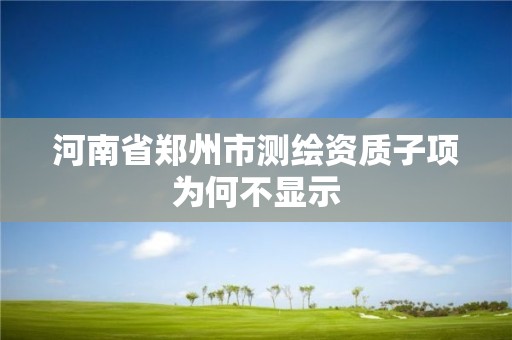 河南省郑州市测绘资质子项为何不显示