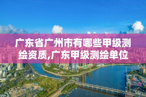 广东省广州市有哪些甲级测绘资质,广东甲级测绘单位