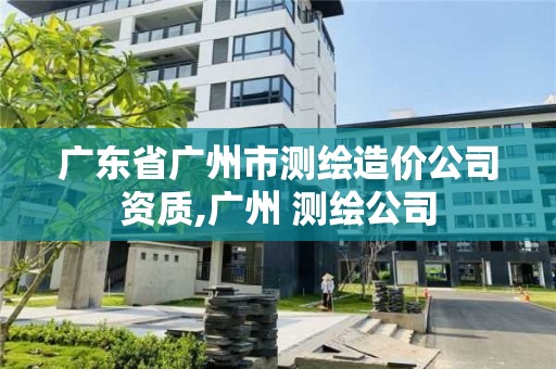 广东省广州市测绘造价公司资质,广州 测绘公司