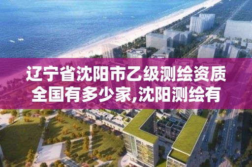 辽宁省沈阳市乙级测绘资质全国有多少家,沈阳测绘有限公司。