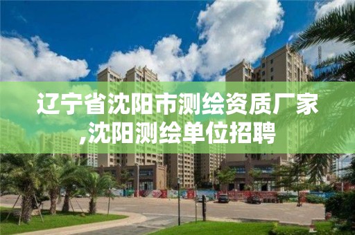 辽宁省沈阳市测绘资质厂家,沈阳测绘单位招聘