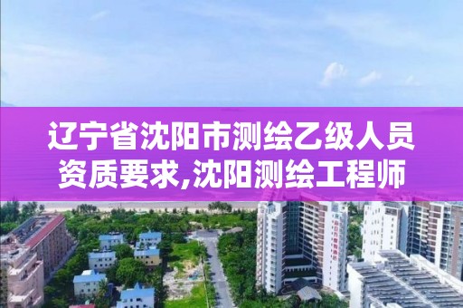 辽宁省沈阳市测绘乙级人员资质要求,沈阳测绘工程师招聘