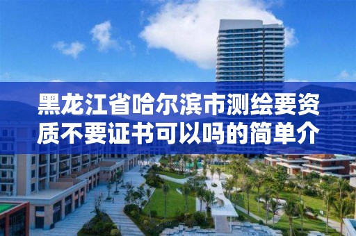 黑龙江省哈尔滨市测绘要资质不要证书可以吗的简单介绍