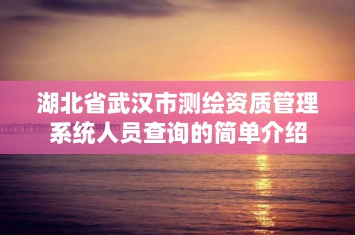 湖北省武汉市测绘资质管理系统人员查询的简单介绍