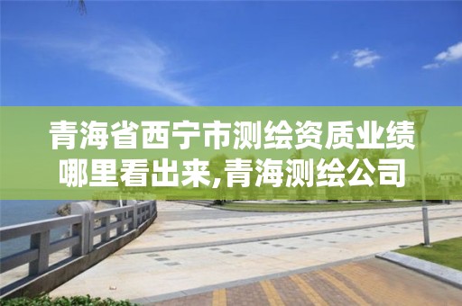 青海省西宁市测绘资质业绩哪里看出来,青海测绘公司成员名单。