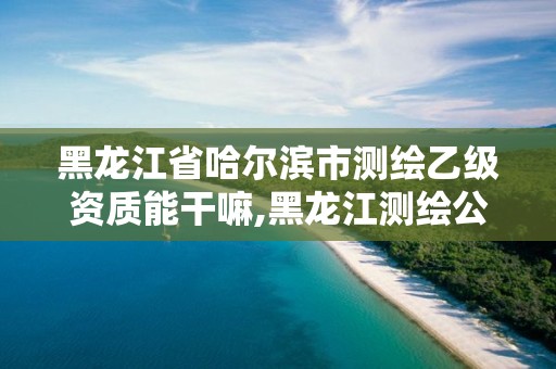 黑龙江省哈尔滨市测绘乙级资质能干嘛,黑龙江测绘公司乙级资质