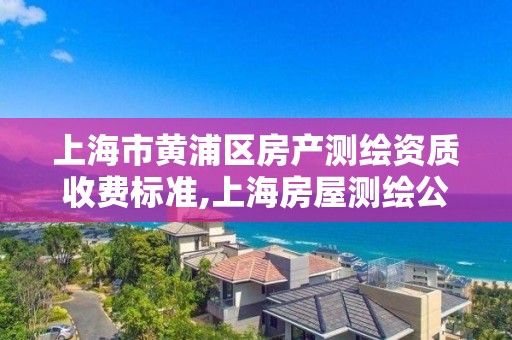 上海市黄浦区房产测绘资质收费标准,上海房屋测绘公司有哪几家