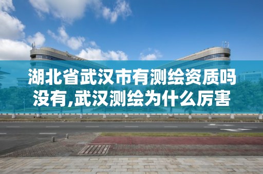 湖北省武汉市有测绘资质吗没有,武汉测绘为什么厉害。